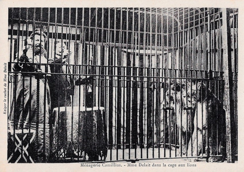 Clémentine Clattaux Delait w klatce z lwami