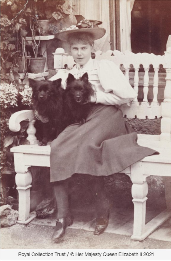księżniczka Beatrycze z psem